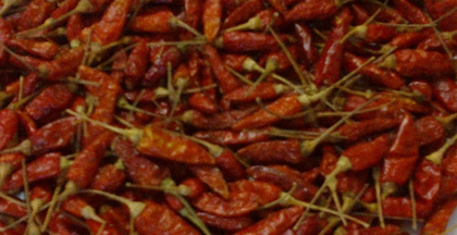 Birds Eye Chili