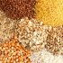 Grains & Rices