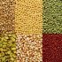 Pulses